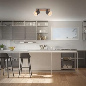 Spot Briloner 2742-025 SPOTLIGHT 2xE27/40W/230V negru