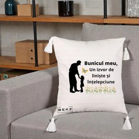 Cadou pentru Bunic - Perna Personalizata Bunicul Meu Izvor de Liniste cu Fluture si Fetita, 40x40 cm, Bej cu Franjuri, Husa Detasabila, Perna Inclusa, BEKZ®