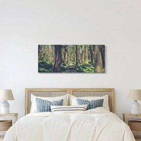 Tablou cu drum între copaci (120x50 cm)