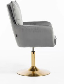 HR250N Scaun Catifea Grafit Bază Aurie