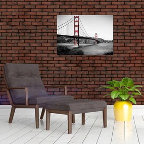 Tablou cu pod (70x50 cm)