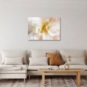 Tablou - Floare (70x50 cm)