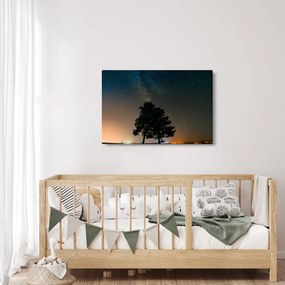 Tablou cu cerul nocturn și copaci (90x60 cm)