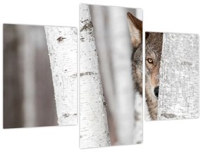 Tablou - Lup (90x60 cm)