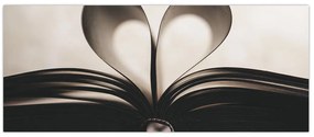 Tablou cu carte (120x50 cm)