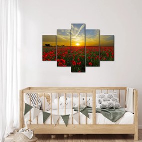 Tablou cu câmp cu maci (150x105 cm)
