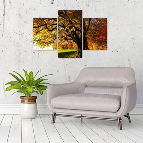 Tablou cu toamna (90x60 cm)