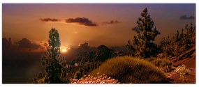 Tablou naturii cu apus de soare (120x50 cm)