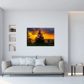 Tablou - coniferi (90x60 cm)