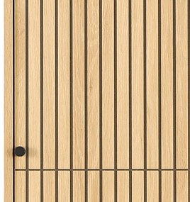 Dulap de haine OLIVIA 51 x 200 cm, stejar