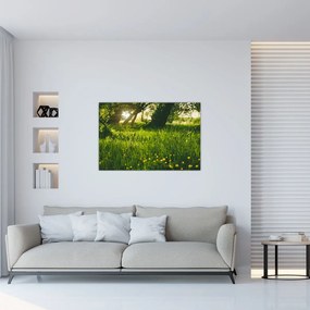 Tablou cu natura - lunca (90x60 cm)