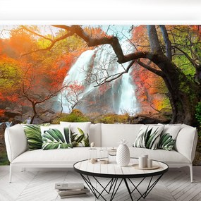 Fototapet Cascada Thailanda