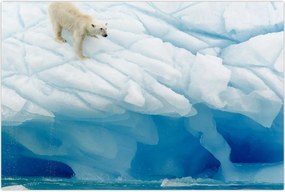 Tablou - Ursul polar (90x60 cm)