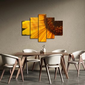 Tablou - Floarea-soarelui (150x105 cm)