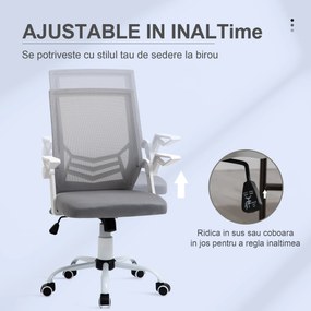 Vinsetto Scaun de Birou Ergonomic cu Suport Lombar din Țesătură, Gri | Aosom Romania
