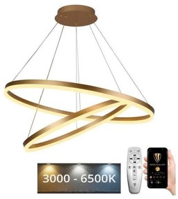 Lustră LED dimabilă pe cablu LED/100W/230V 3000-6500K + telecomandă