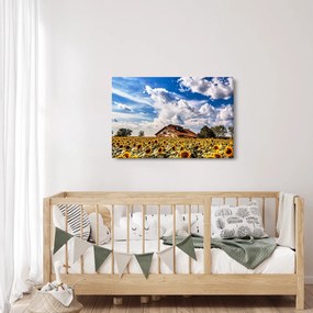 Tablou cu câmp de floarea soarelui (90x60 cm)