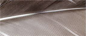 Tablou cu fibre abstacte (120x50 cm)