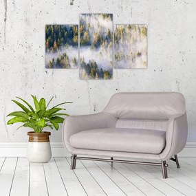 Tablou - Copac în ceață (90x60 cm)