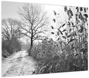 Tablou pe sticlă - Câmpuri în timpul iernii (70x50 cm)