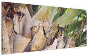 Tablou cu veverița în copaci (120x50 cm)