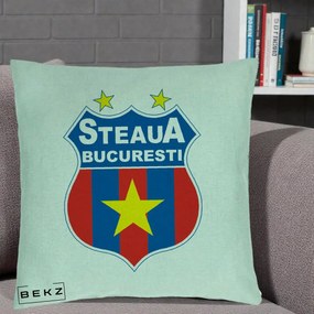 Perna Personalizata Steaua Bucuresti Fotbal, 40x40 cm, Verde Menta, Husa Detasabila, Perna Inclusa, BEKZ®