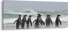 Tablou pinguini în ocean (120x50 cm)