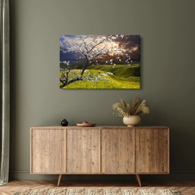 Tablou - Peisaj cu pomul înflorit (90x60 cm)