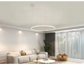 Lustră LED dimabilă pe cablu LED/55W/230V 3000-6500K + telecomandă