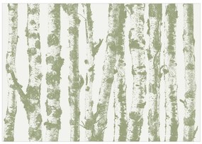 Fototapet - Stately Birches - Third Variant
