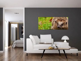 Tablou cu arici (120x50 cm)