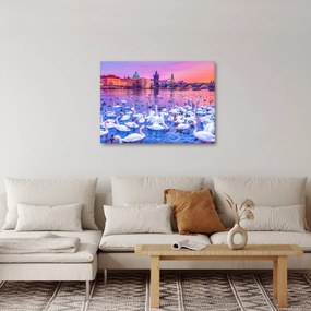 Tablou - Praga (70x50 cm)