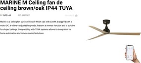 Ventilator tavan de exterior smart sistem TUYA si telecomanda IP44 MARINE M maro/stejar