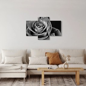 Tablou - Trandafir,alb-negru (90x60 cm)