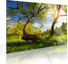 Tablou pe sticlă lunca ne primăvară (70x50 cm)