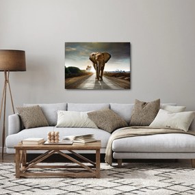 Tablou cu elefant (70x50 cm)