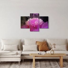 Tablou cu floare în fum roz (90x60 cm)