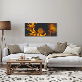 Tablou - Floarea-soarelui în fundal negru (120x50 cm)