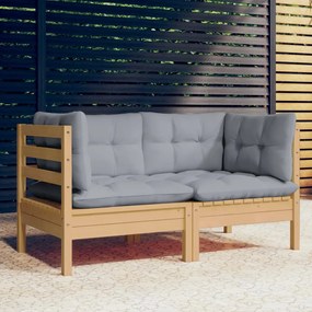 3096009 vidaXL Canapea de grădină cu 2 locuri, cu perne gri, lemn masiv pin