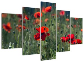 Tablou - Lunca cu maci (150x105 cm)