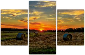 Tablou - Baloți din sat (90x60 cm)