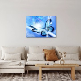 Tablou - Fluture, simbolul speranței (70x50 cm)