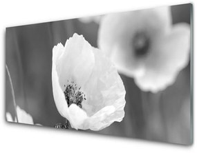 Tablouri acrilice Maci Floral Gray