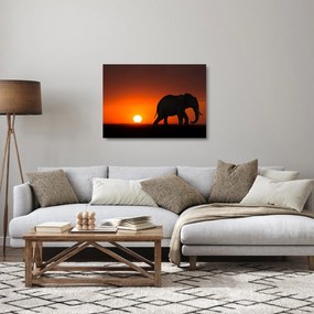 Tablou pe sticlă cu elefant în apus de soare (70x50 cm)