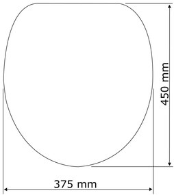 Capac WC cu închidere lentă Wenko Astera, 45 x 37,5 cm