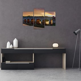 Tablou cu pod (90x60 cm)