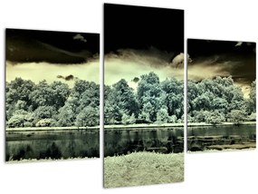 Tablou suprafeței de apă (90x60 cm)