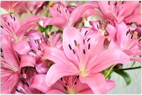 Tablou - Liliac roz (90x60 cm)