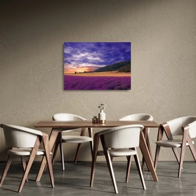 Tablou pe sticlă cu lunca cu lavandă (70x50 cm)
