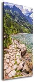Pictură pe pânză Marine ochi Tatry